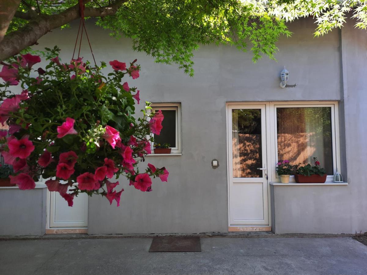 Soul Otel Palić Dış mekan fotoğraf