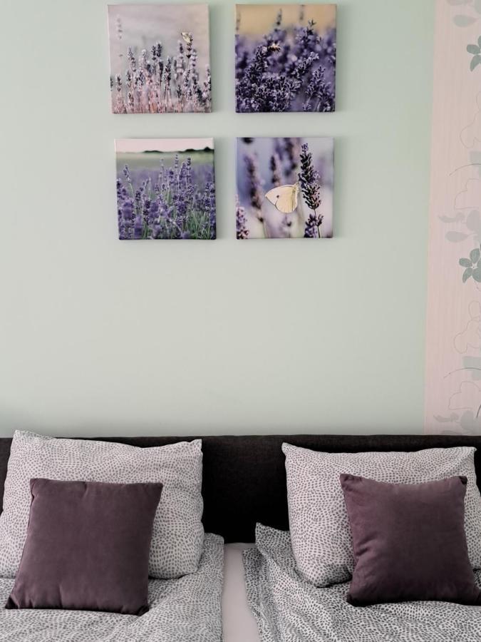 Soul Otel Palić Dış mekan fotoğraf