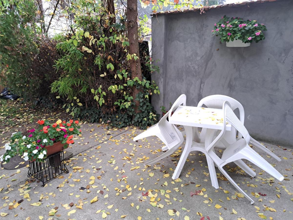 Soul Otel Palić Dış mekan fotoğraf