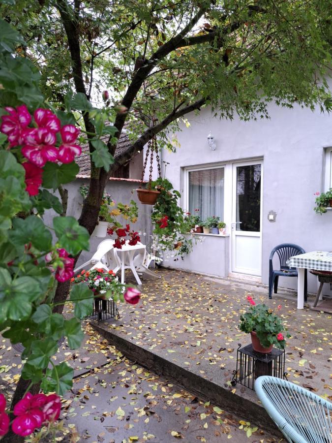 Soul Otel Palić Dış mekan fotoğraf
